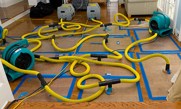 Professional Water Damage Repair technician working in Forest, VA